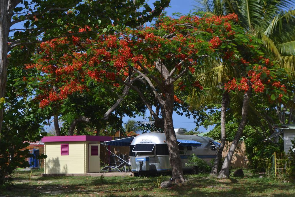 Airstream Paradise Bernard 외부 사진